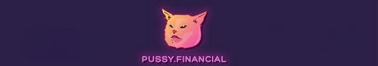 Pussy Financial, PUSSY, Meme Coin & Emerging DeFi Ecosystem, Meme Coin, Emerging DeFi