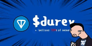 Povel Durev, DUREV, TON Meme Coin, Meme Coin