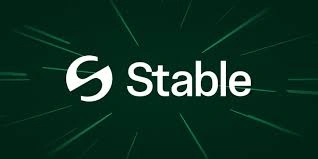 Stable, USDT-Powered Blockchain