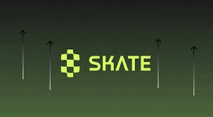 Skate, SKATE, Multi-VM Cross-Chain Infrastructure, SKATE, Cross-Chain Infrastructure, Multi-VM