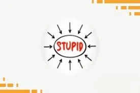 StupidCoin, STUPID, Meme Coin With a Bold Crypto Twist, Meme Coin