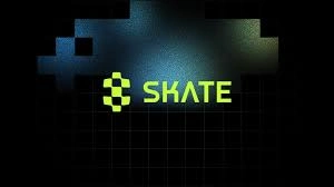 Skate, SKATE, Multi-VM Cross-Chain Infrastructure, SKATE, Cross-Chain Infrastructure, Multi-VM