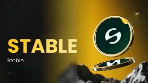 Stable, USDT-Powered Blockchain 