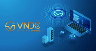 VNDC, Vietnam Stablecoin for Trading & Liquidity, Stablecoin