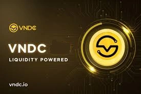 VNDC, Vietnam Stablecoin for Trading & Liquidity, Stablecoin 