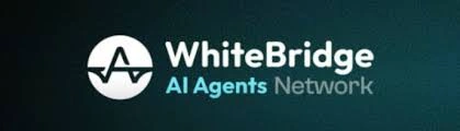 WhiteBridge Network, WBAI, AI Data & Trust Layer