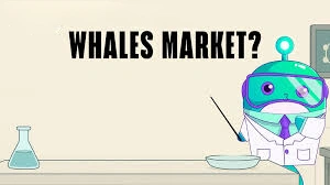 How Does Whales Market Work, Whales Market