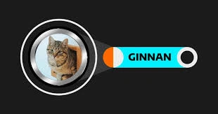 Ginnan The Cat, GINNAN, Community-Driven Meme Coin, Meme Coin