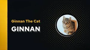 Ginnan The Cat, GINNAN, Community-Driven Meme Coin, Meme Coin