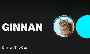 Ginnan The Cat, GINNAN, Community-Driven Meme Coin, Meme Coin