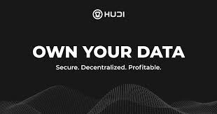 Hudi HUDI: Earn From Your Data in the Web3 Economy, HUDI, Earn From Your Data