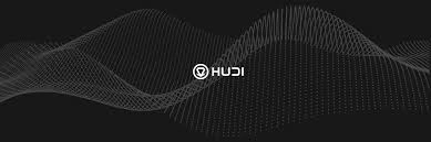 Hudi HUDI: Earn From Your Data in the Web3 Economy, HUDI, Earn From Your Data