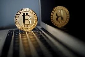 How to Buy Don-key Crypto, Don-key Crypto, Don-key