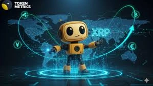 How Much Is Token Metrics, Token Metrics