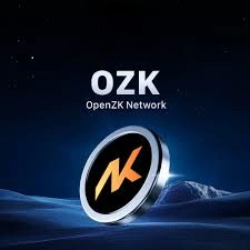OpenZK Network, (OZK): ZK Rollup Layer 2 Ecosystem, ZK Rollup Layer 2 , ZK Rollup 