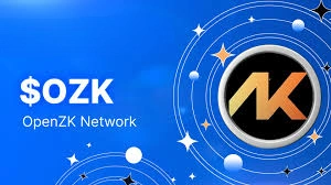 OpenZK Network, (OZK): ZK Rollup Layer 2 Ecosystem, ZK Rollup Layer 2 , ZK Rollup