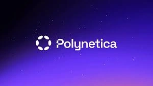 Polynetica, POLLY, DeFi Social Mining & Rewards Protocol, Rewards Protocol