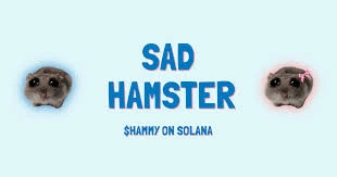 SAD HAMSTER, HAMMY, Viral Solana Meme Coin, Solana Meme Coin