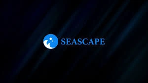 Seascape Crowns, CWS, Blockchain Gaming and DeFi Token, Blockchain Gaming, DeFi Token