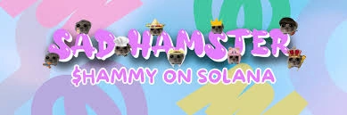 SAD HAMSTER, HAMMY, Viral Solana Meme Coin, Solana Meme Coin