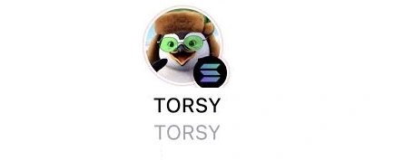 TORSY, Torsy: A Solana Meme Coin Built on Web3 Culture, Solana Meme Coin, Web3 Culture