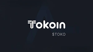 Tokoin, TOKO, Web3 Business Ecosystem for MSME Growth, Web3 Business Ecosystem