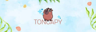 TonCapy, TCAPY, Web3 Meme Launchpad Ecosystem, Web3 Meme