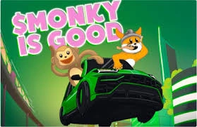 Wise Monkey (MONKY): Meme Coin on BNB Chain, Meme Coin on BNB Chain