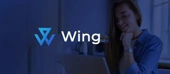 Wing Finance, WING, Credit-Based DeFi Lending DAO, Credit-Based DeFi Lending, DeFi Lending, Credit-Based