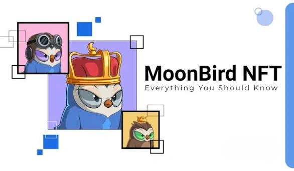 How to Buy Moonbirds NFT, How to Buy Moonbirds, Moonbirds NFT, Moonbirds