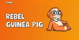 ChompCoin, CHOMP, Community Meme Coin Ecosystem on Base, Meme Coin, Base