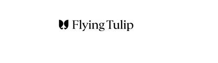 Flying Tulip, FT, On-Chain Liquidity and Derivatives Protocol, On-Chain Liquidity, Derivatives Protocol