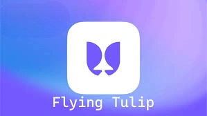 Flying Tulip, FT, On-Chain Liquidity and Derivatives Protocol, On-Chain Liquidity, Derivatives Protocol