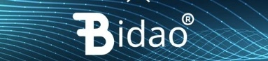 Is BiDao a Good Investment? BiDao
