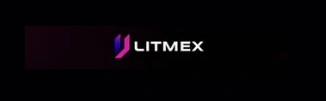 Litmex, LMX, AI Gaming & DeFi Prediction Ecosystem, AI Gaming