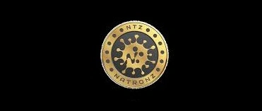NatronZ, NCOIN, Scalable Layer-1 DeFi Protocol, Scalable Layer-1 DeFi, Layer-1 DeFi