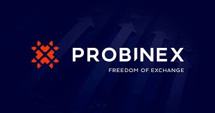 Probinex, PBX, Bridging Traditional Finance and Blockchain