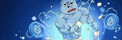 Suicy the Seal, SUICY, Meme Token on the Sui Blockchain, Meme Token, Sui Blockchain