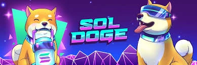 What Is SolDoge? , SolDoge
