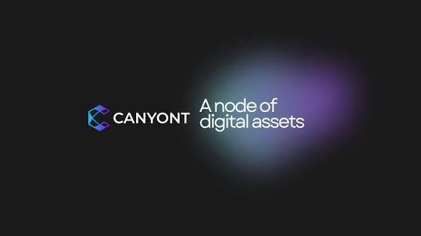 Canyont, CTYN, Stake-to-Earn Crypto Ecosystem, Stake-to-Earn