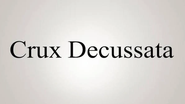 CruxDecussata, X, Privacy-Focused Crypto Ecosystem, Privacy-Focused Crypto