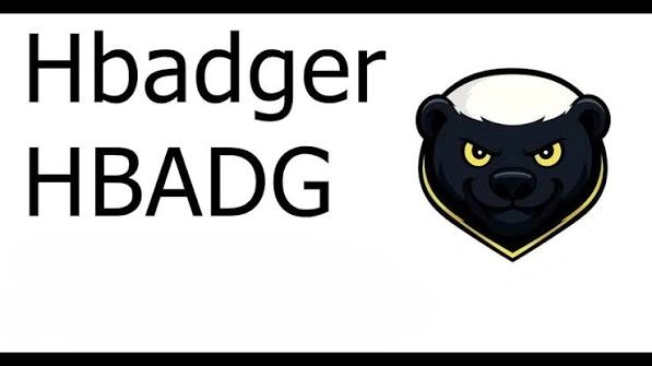 Hbadger, HBADG, Utility Token Powering Cowrie Protocol, Utility Token