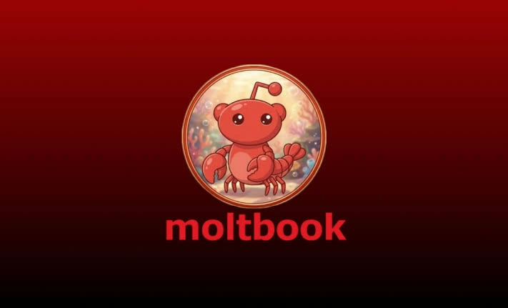 Moltbook, MOLT, AI Agent Social Network Platform, AI Agent Social Network