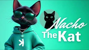 Nacho the Kat, NACHO, Kaspa’s Community Meme Token, Community Meme Token, Community Meme, Kaspa’s Community Meme Token