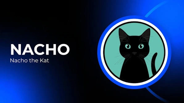 Nacho the Kat, NACHO, Kaspa’s Community Meme Token, Community Meme Token, Community Meme, Kaspa’s Community Meme Token