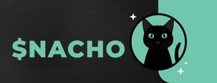 Nacho the Kat, NACHO, Kaspa’s Community Meme Token, Community Meme Token, Community Meme, Kaspa’s Community Meme Token