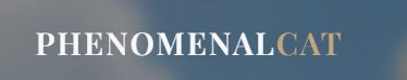Phenomenal Cat, PCAT, Utility-Focused Meme Token Ecosystem, Meme Token