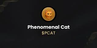 Phenomenal Cat, PCAT, Utility-Focused Meme Token Ecosystem, Meme Token