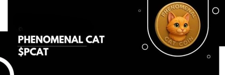Phenomenal Cat, PCAT, Utility-Focused Meme Token Ecosystem, Meme Token