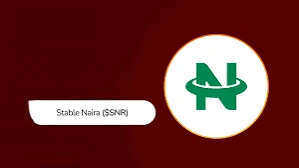 StableNaira, SNR, Naira Stablecoin Cross-Chain System